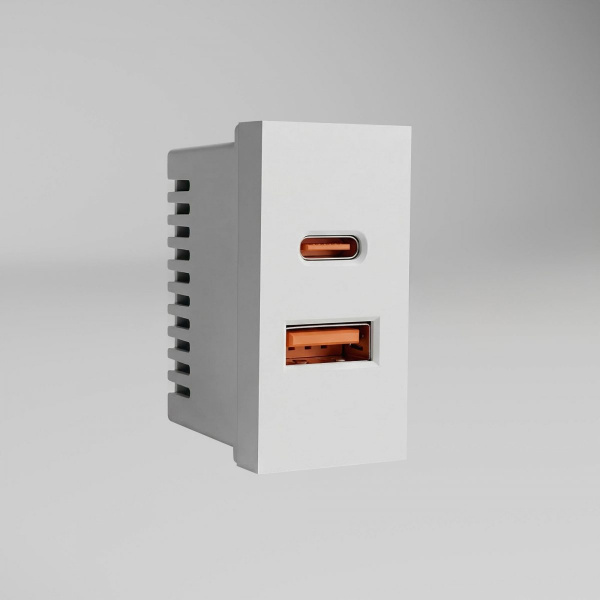 Модульная розетка USB тип A+C 45*22,5 (белый) W1272701