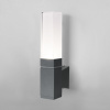 фото Настенный светодиодный светильник cерый IP54 1534 TECHNO LED