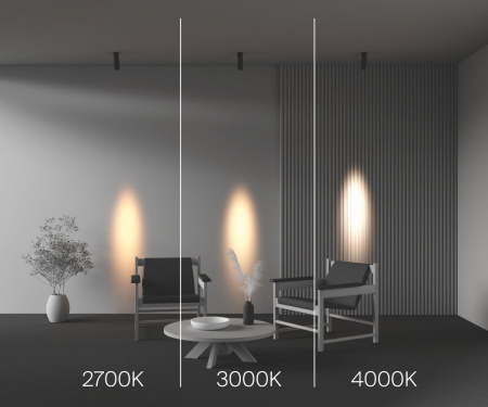 фото Потолочный светильник Maytoni Technical FOCUS LED C055CL-L12W3K-SS-B, черный