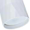 фото Точечный накладной светильник Arte Lamp FANG A5557PL-1WH