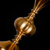 фото Подвесная люстра Arte Lamp COLLINETTA A4094LM-12PB