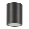 Уличный потолочный светильник Maytoni Outdoor Bar O306CL-L12GF, графит
