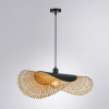 фото Подвесной светильник Arte Lamp WOODSTOCK A7063SP-1BK