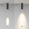 фото Потолочный светильник Maytoni Technical FOCUS LED C055CL-L12W3K-SS-B, черный