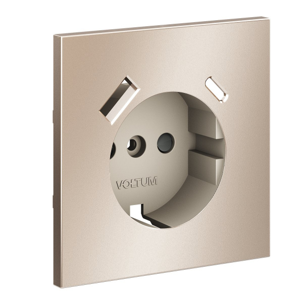 Накладка для розетки с заземлением и защитными шторками, с USB A+C, S70 Metal (платина)