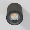 фото Светильник потолочный светодиодный Primo 12W 4000K титан 25116/LED