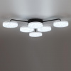 фото Черный, металл/акрил Люстра потолочная с ПДУ LED 85W 3000-6000К 220V DIDANA LEDIO, арт. 8236/6CL