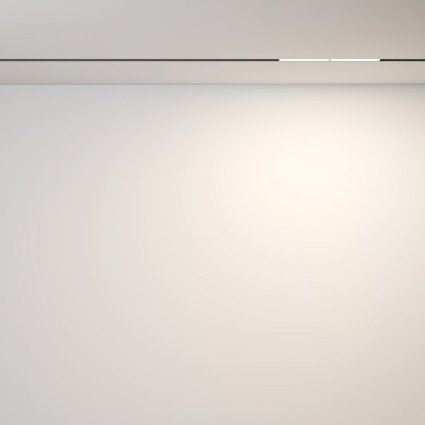 фото Трековый светильник Maytoni Technical Parete TR106-2-12W3K-B, черный