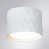 фото Точечный накладной светильник Arte Lamp FANG A5552PL-1WH