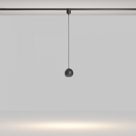 фото Трековый подвесной светильник Maytoni Technical Sfera TR165-1-8W3K-M-B, черный