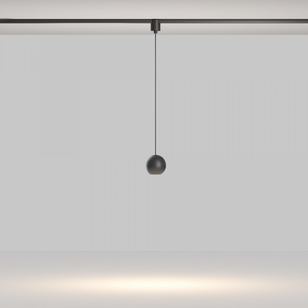 фото Трековый подвесной светильник Maytoni Technical Sfera TR165-1-8W3K-M-B, черный
