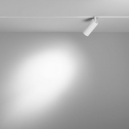 фото Трековый светильник Maytoni Technical Focus LED TR032-4-5WTW-M-DD2-W, белый