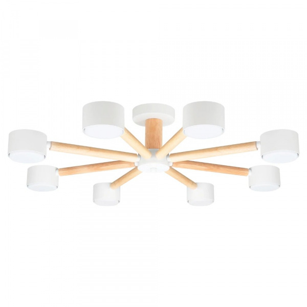 Потолочная люстра Arte Lamp TENDA A1624PL-8WH