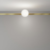 фото Трековый светильник Maytoni Technical Luna TR229-1-5W4K-BS, латунь