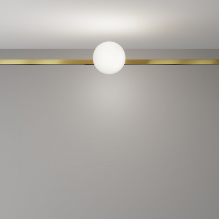 фото Трековый светильник Maytoni Technical Luna TR229-1-5W4K-BS, латунь