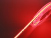 фото Светодиодная лента SPI RGB 24В IP20 12Вт/м 480 LED/м COB WS2811 SWG-COB480-24-12-WS2811RGB, катушка 5 м