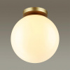 фото Золотист/металл/белый/акрил Потолочный светильник IP44 E27 LED max 9W BOSCO HIGHTECH, арт. 4248/1C