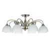 Потолочная люстра Arte Lamp SPICA A3037PL-8AB