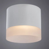 фото Точечный накладной светильник Arte Lamp CASTOR A5554PL-1WH