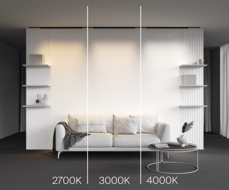фото Трековый светильник Maytoni Technical Basis TR192-1-21W2.7K-B, черный
