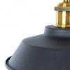 фото Подвесной светильник Arte Lamp CAPPELLO A7038SP-1BK