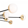 фото Потолочный светильник Freya Celebrity FR5242CL-16B, черный