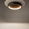 фото Потолочный светильник Maytoni Orign MOD311CL-L27B3K, черный