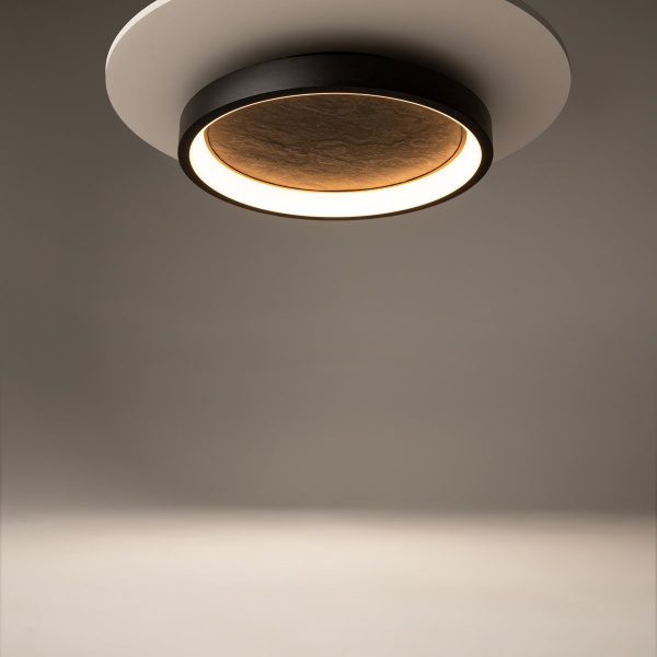фото Потолочный светильник Maytoni Orign MOD311CL-L40B3K, черный
