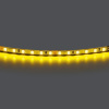 Лента цветного свечения 24V, желтый для общественных мест Lightstar 420513