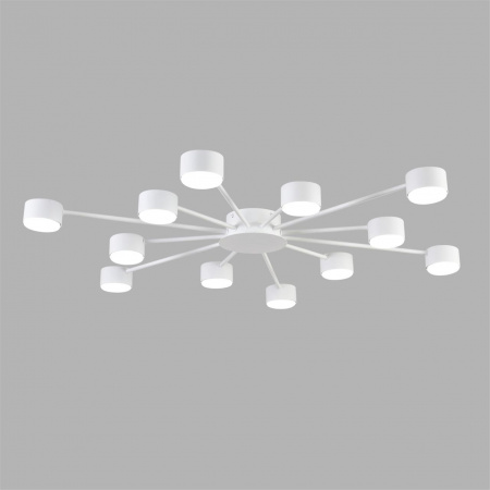 фото Белый, металл Люстра GX53 LED 12*7W 220V TORINA COMFI, арт. 8343/12C