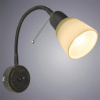 фото Бра Arte Lamp LETTURA A7009AP-1BR