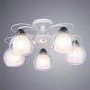 фото Потолочная люстра Arte Lamp SANSA A7585PL-5WH