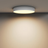 фото Потолочный светильник Maytoni Technical Zon C032CL-45W2.7K-RD-W, белый