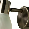 фото Спот Arte Lamp PARRY A5062AP-1AB