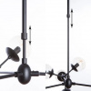 фото Люстра на штанге Arte Lamp BOLLA A1664SP-12BK