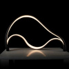 фото Декоративная настольная лампа Arte Lamp HYPERBOLA A1987LT-12BK