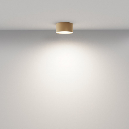 фото Потолочный светильник Maytoni Technical Zon C032CL-12W4K-RD-MG, матовое золото
