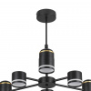 фото Черный, металл/акрил Люстра потолочная GX53 LED 6*10W + LED-проектор 3*5W 2700К 220V VIRSAVA COMFI, арт. 8234/6C