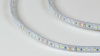 фото Светодиодная лента 3528, 120 LED/м, 9,6 Вт/м, 24В, IP66, Цвет: Холодный белый, SWG3120-24-9.6-W-66-M, катушка 5 м