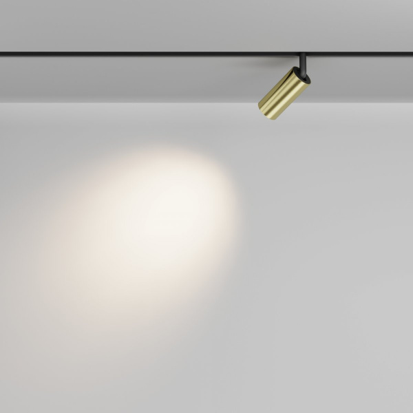 фото Трековый светильник Maytoni Technical Focus LED TR032-2-5W3K-M-BBS, черный