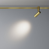 фото Трековый светильник Maytoni Technical Focus Led TR144-1-5W4K-W-BS, латунь