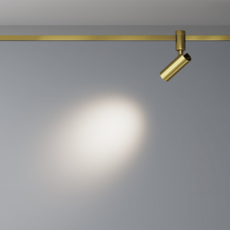 фото Трековый светильник Maytoni Technical Focus Led TR144-1-5W4K-W-BS, латунь