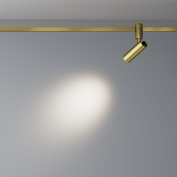 фото Трековый светильник Maytoni Technical Focus Led TR144-1-5W4K-W-BS, латунь