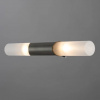 фото Настенный светильник Arte Lamp AQUA-BASTONE A2470AP-2SS