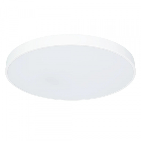 Потолочный светильник Arte Lamp ARENA A2671PL-1WH