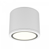Потолочный светильник Maytoni Technical Rendo C095CL-GX53-W, белый