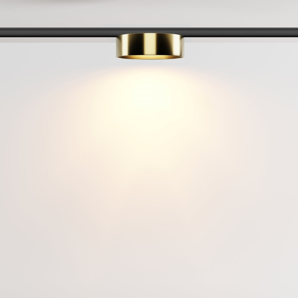 фото Трековый светильник Maytoni Technical Zon TR189-1-12W2.7K-BBS, черный