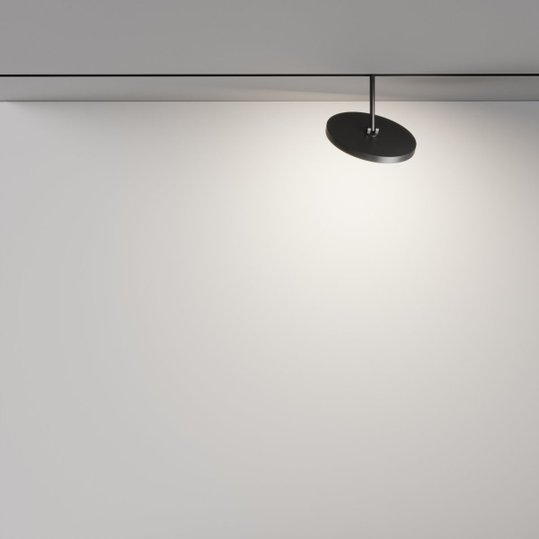 фото Трековый светильник Maytoni Technical Plato TR131-2-15W4K-B, черный