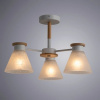 фото Потолочная люстра Arte Lamp TYLER A1031PL-3WH