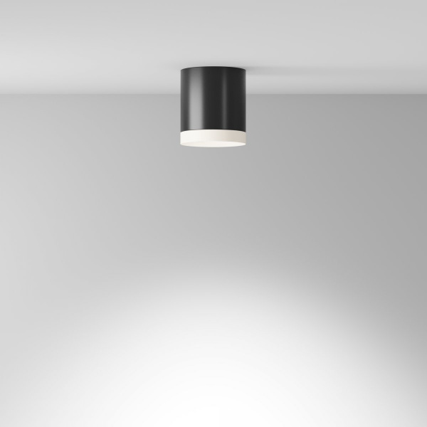 фото Потолочный светильник Maytoni Technical Hoop C086CM-GX53-MRD-BW, черно-белый